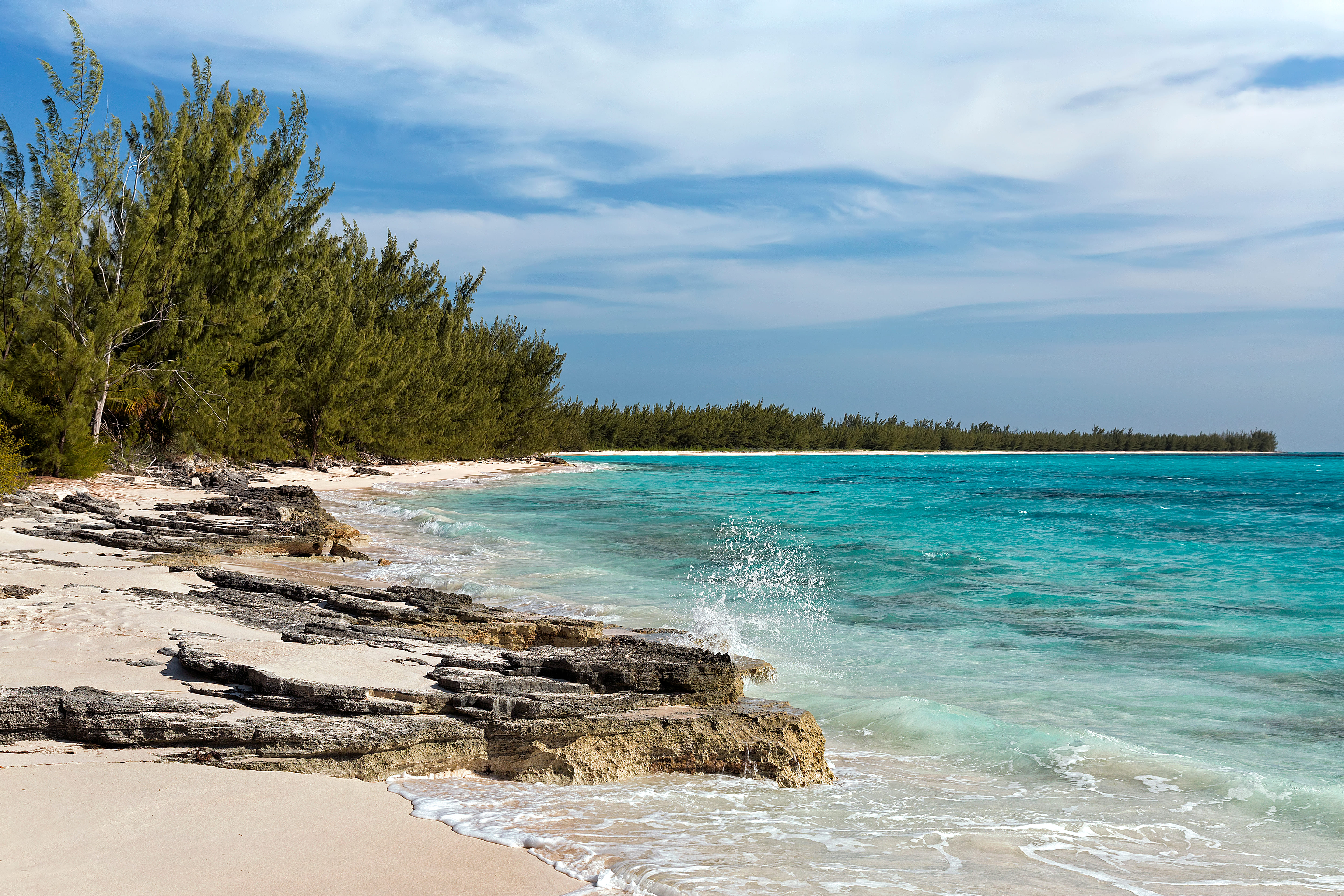 shutterstock_1917417461--1-