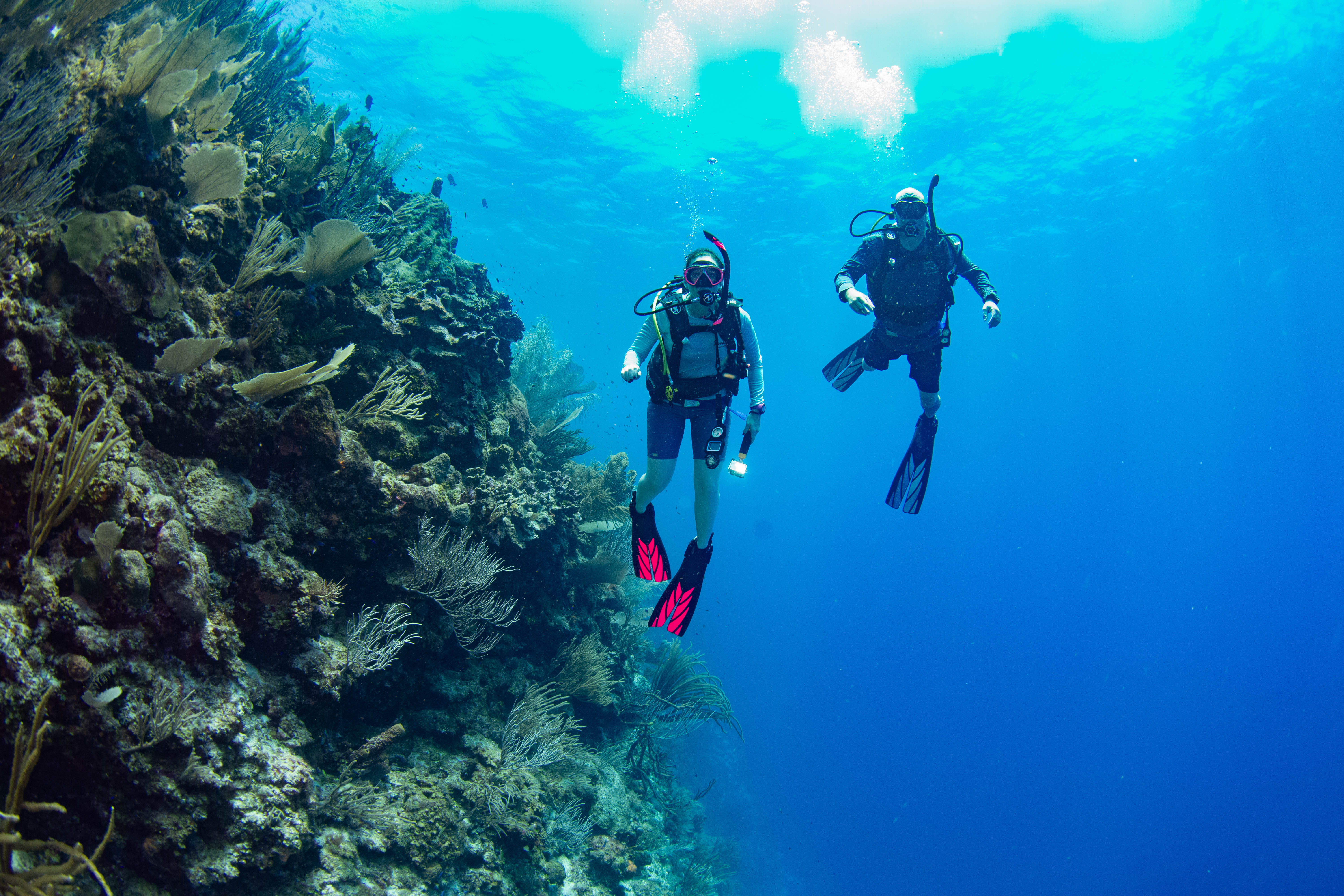 SCR-Dive-Week-Scuba-Diving-165