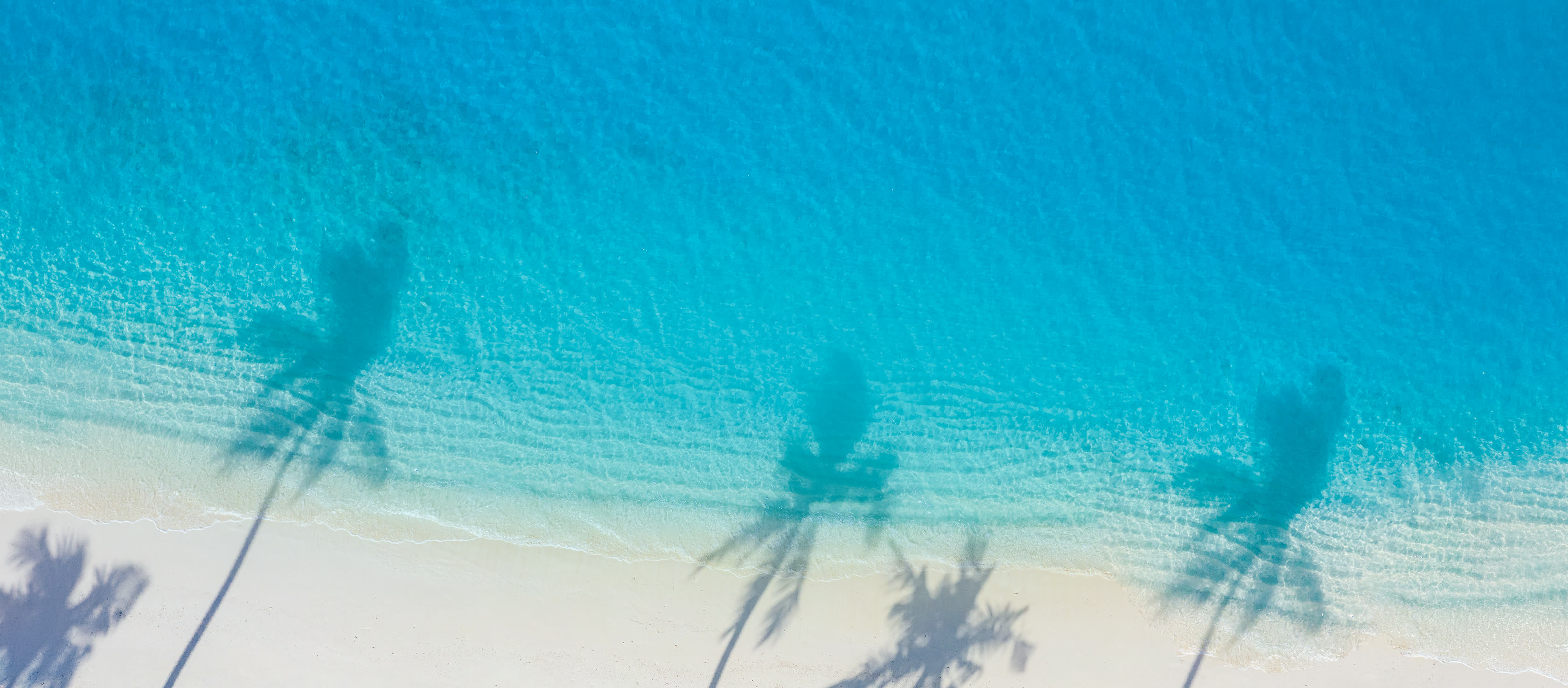 Aerial view of a Caribbean beach with palm tree shadows on turquoise water